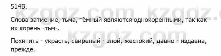 Русский язык Сабитова З. 5 класс 2017 Упражнение 514В