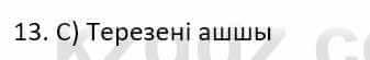 Казахский язык Ермекова Т. 8 класс 2018 Упражнение 13