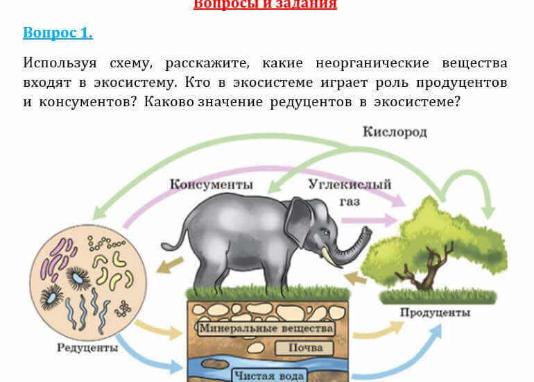 Естествознание Очкур Е. 6 класс 2018 Вопрос 1