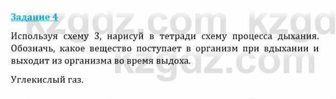 Естествознание Каратабанов Р., Верховцева Л. 6 класс 2019 Задание 4