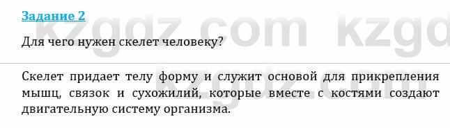 Естествознание Каратабанов Р., Верховцева Л. 6 класс 2019 Задание 2