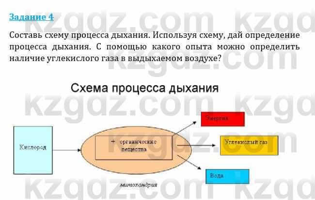 Естествознание Каратабанов Р., Верховцева Л. 6 класс 2019 Задание 4