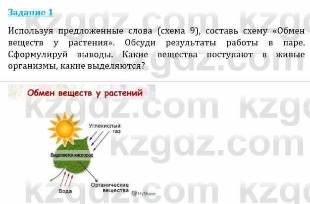 Естествознание Каратабанов Р., Верховцева Л. 6 класс 2019 Задание 1