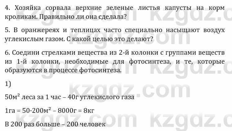 Естествознание Верховцева Л. 5 класс 2019 Вопрос стр.42.1