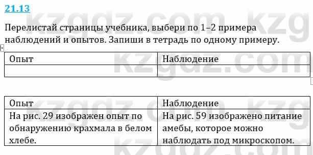 Естествознание Верховцева Л. 5 класс 2019 Вопрос стр.21.13