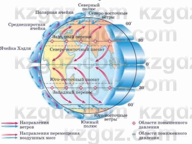 Естествознание Верховцева Л. 5 класс 2019 Вопрос стр.7.1