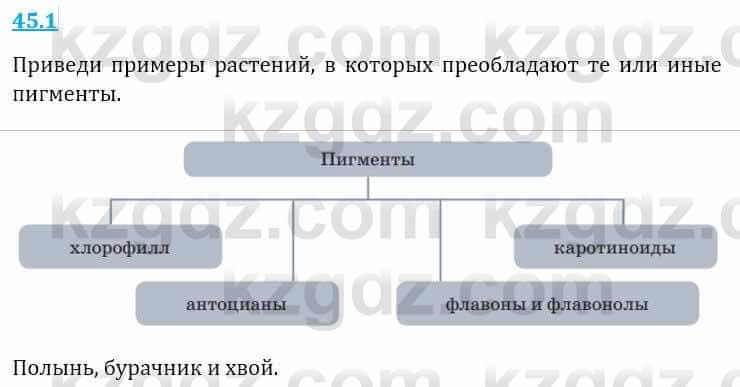 Естествознание Верховцева Л. 5 класс 2019 Вопрос стр.45.1