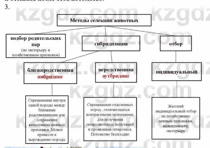 Биология Соловьева А. 8 класс 2018 Анализ 3