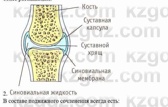 Биология Соловьева А. 8 класс 2018 Анализ 2