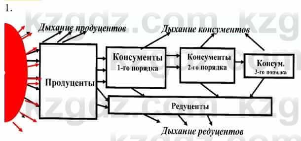 Биология Соловьева А. 8 класс 2018 Анализ 1