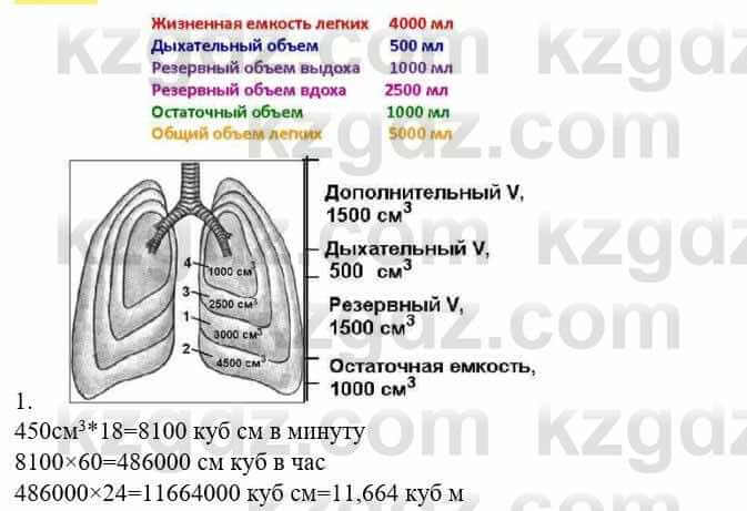 Биология Соловьева А. 8 класс 2018 Анализ 1