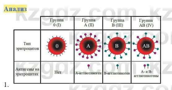 Биология Соловьева А. 8 класс 2018 Анализ 1