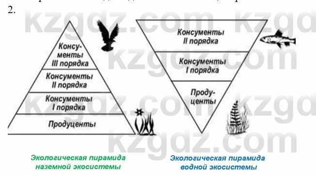 Биология Соловьева А. 8 класс 2018 Синтез 2