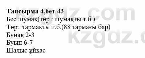 Казахская литература Тұрсынғалиева С. 8 класс 2018 Синтез 4