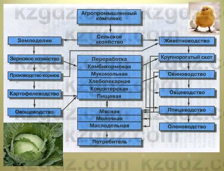 География Каратабанов Р. 7 класс 2019 Вопрос на повторение 2