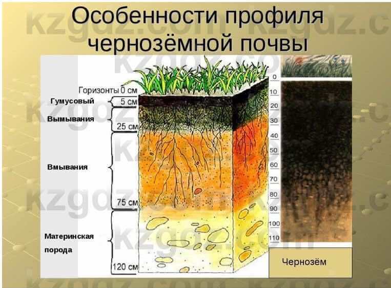 География Каратабанов Р. 7 класс 2019 Вопрос стр.24.1