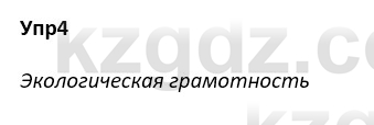 Русский язык и литература Ержанова Р. 9 класс 2019 Вопрос 4