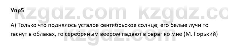 Русский язык и литература Ержанова Р. 9 класс 2019 Вопрос 5