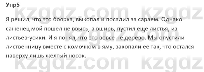 Русский язык и литература Ержанова Р. 9 класс 2019 Вопрос 5