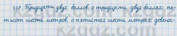 Русский язык и литература Жанпейс 7 класс 2017 Упражнение 317