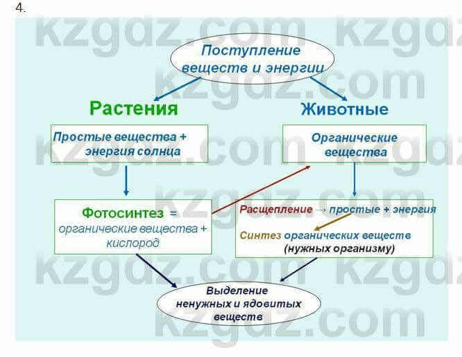 Биология Очкур 7 класс 2017 Задание 19.4