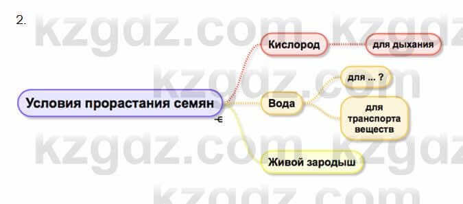 Биология Очкур 7 класс 2017 Задание 60.2