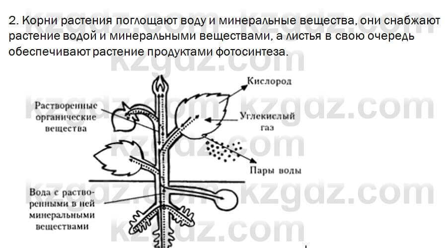 Биология Очкур 7 класс 2017 Задание 20.2