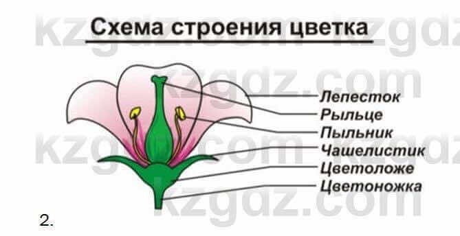 Биология Соловьева 7 класс 2017 Применение 58.2