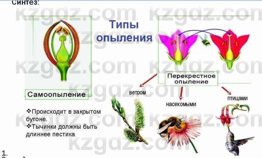 Биология Соловьева 7 класс 2017 Синтез 54.1